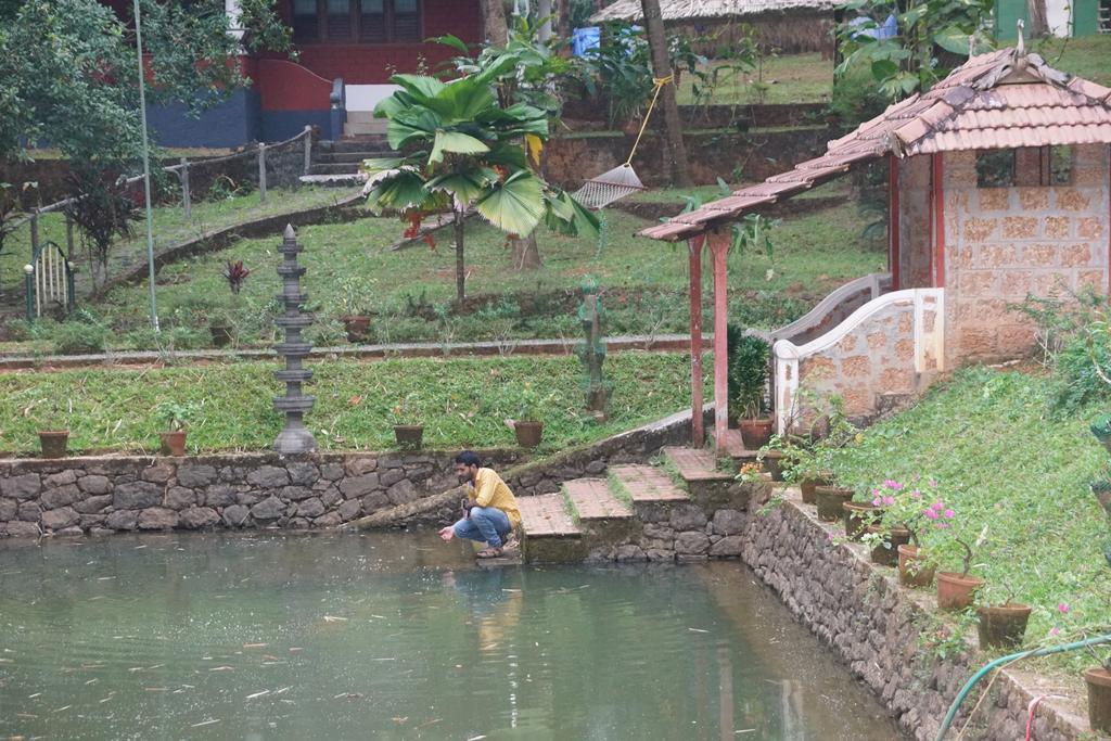 Soma Birds Lagoon Hotel Kotamangalam Luaran gambar